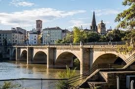 Paisaje de la etapa de Los Arcos a Logroño en el Camino Francés